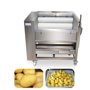 Carrot Peeling Washing Machine