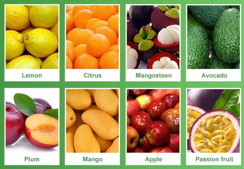 Roller Type Fruits Grading Machine