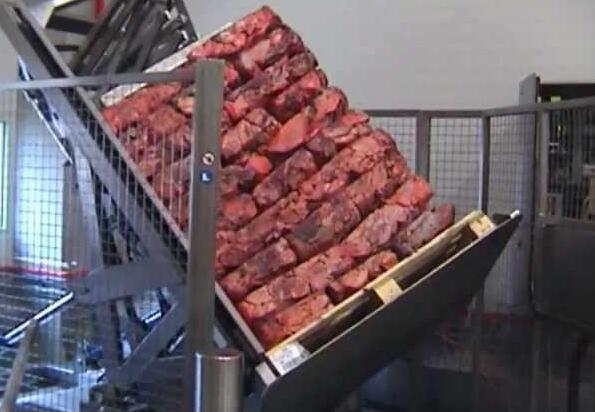 frozen meat block