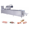 LS420 Thermoforming Vacuum Packing Machine