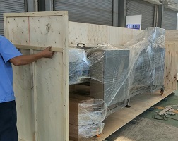 meat-strip-cutter-packing