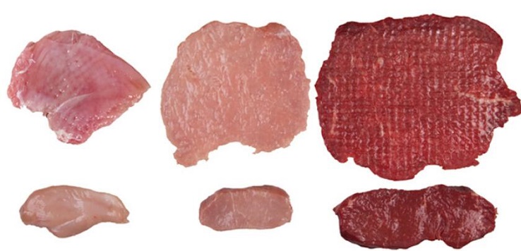 Meat Flattener Machine Buying Guide: Choose Jinan TINDO for Superior Meat Processing