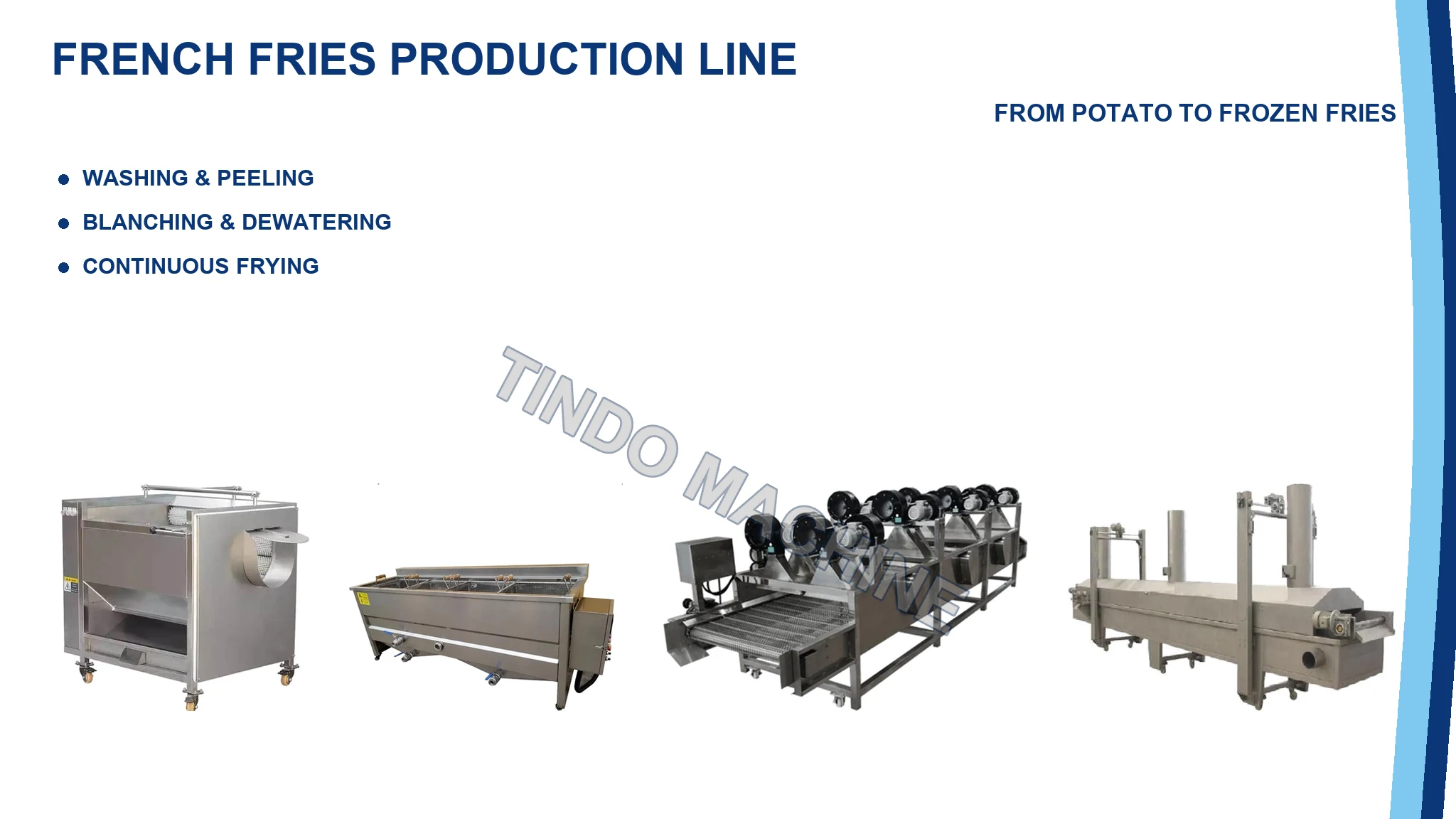 French Fries Production Line | 1000 kg/h Turnkey Line