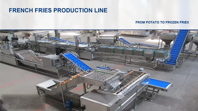 French Fries Production Line | 1000 kg/h Turnkey Line