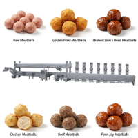 Meatball Cooking & Cooling Line | XRL Series Steam Tunnel | TINDO