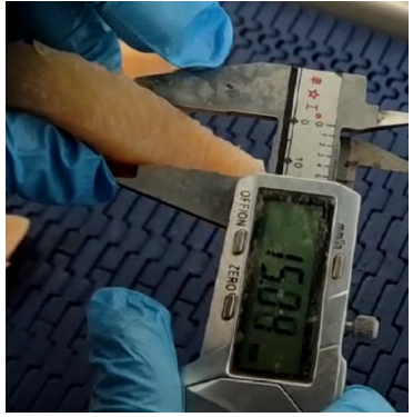 Tindo meat sliced chicken breast strip.png