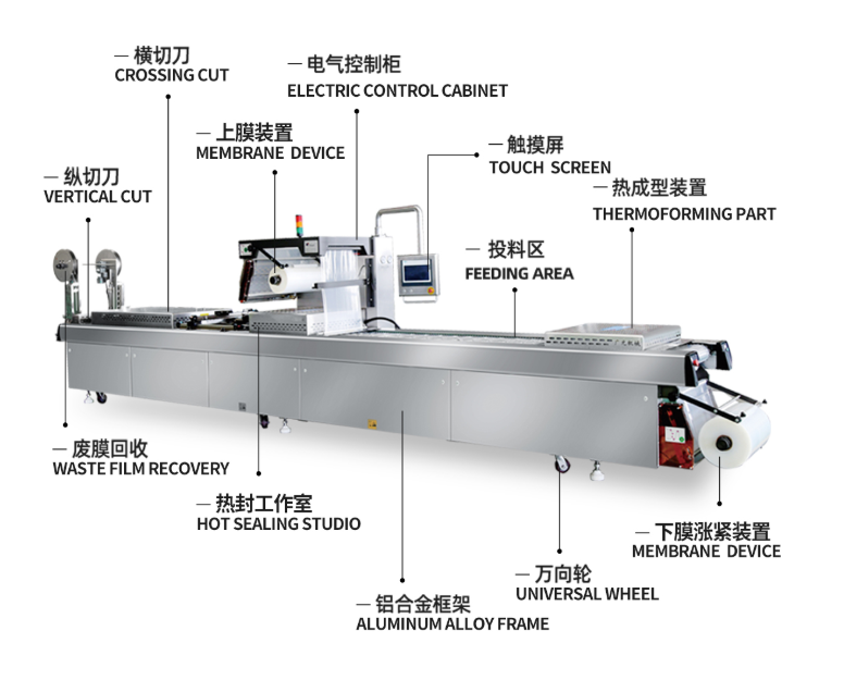 Thermoforming Packing Machine 