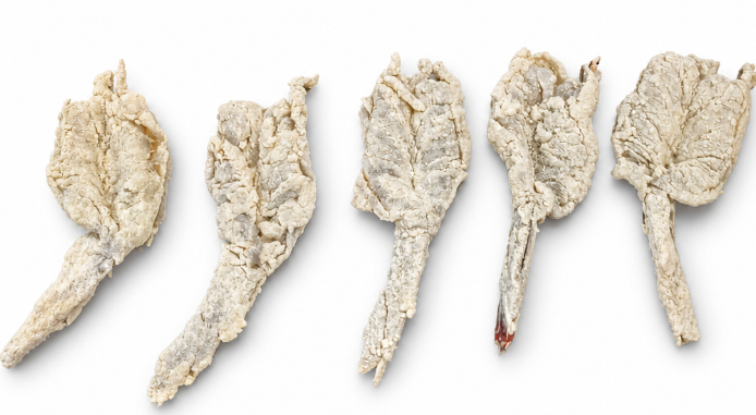 Shrimp passing through FLU400 flour primer uniform coating SUS304 TINDO