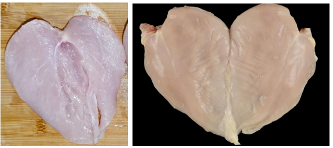 BUTTERFLY CHICKEN BREAST SLICED BY TINDO MEAT SLICER.png