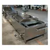 Continuous Vegetable Blanching Line 3000