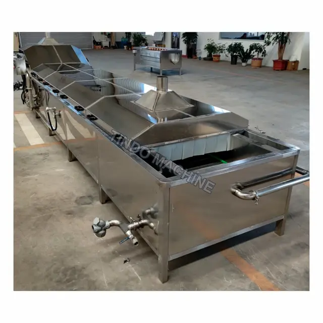 Continuous Vegetable Blanching Line 3000