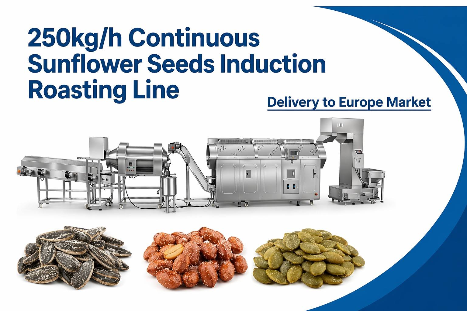 ontinuous-sunflower-seed-roaster-netherlands.jpg